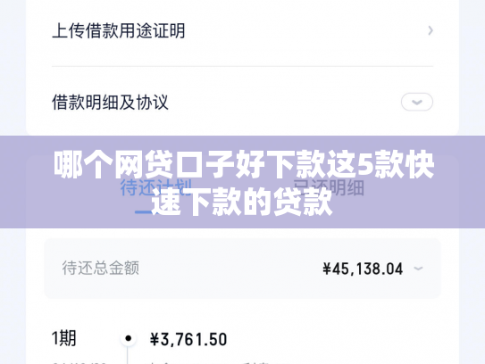 哪个网贷口子好下款这5款快速下款的贷款