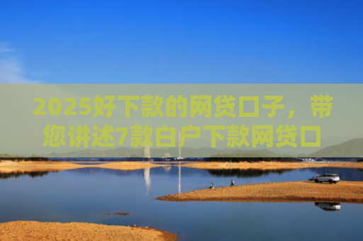 2025好下款的网贷口子，带您讲述7款白户下款网贷口子