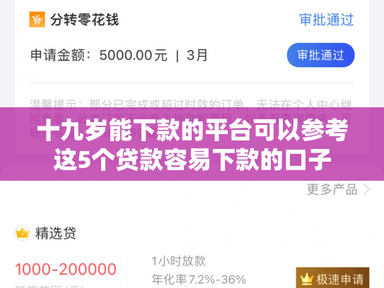 十九岁能下款的平台可以参考这5个贷款容易下款的口子