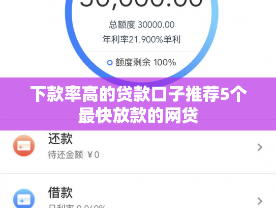 下款率高的贷款口子推荐5个最快放款的网贷