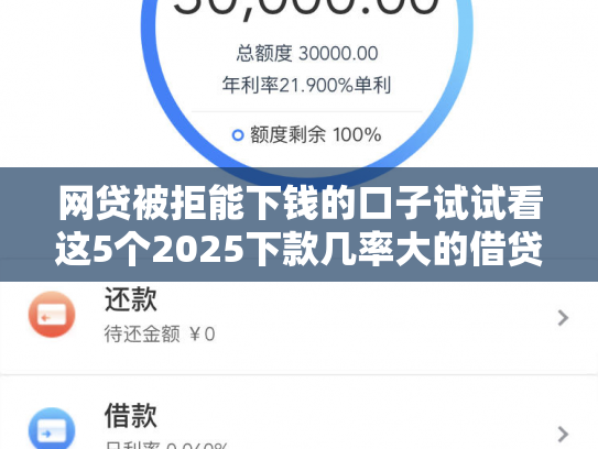 网贷被拒能下钱的口子试试看这5个2025下款几率大的借贷