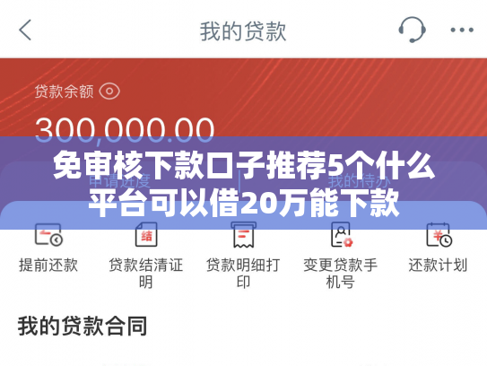 免审核下款口子推荐5个什么平台可以借20万能下款