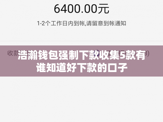 浩瀚钱包强制下款收集5款有谁知道好下款的口子