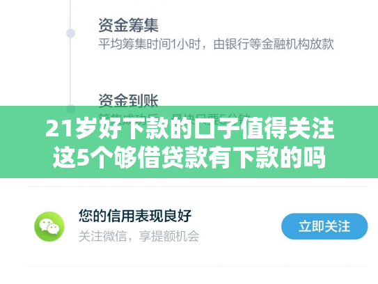 21岁好下款的口子值得关注这5个够借贷款有下款的吗