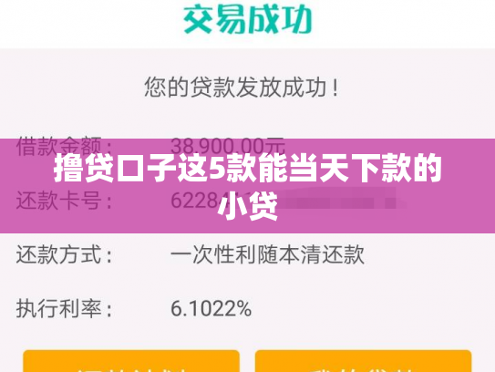 撸贷口子这5款能当天下款的小贷