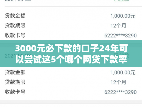 3000元必下款的口子24年可以尝试这5个哪个网贷下款率高
