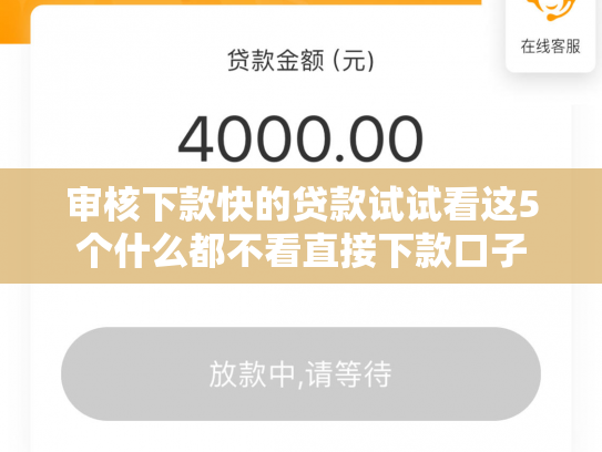 审核下款快的贷款试试看这5个什么都不看直接下款口子