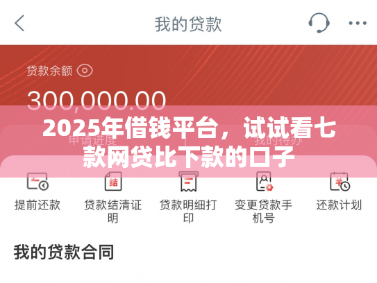 2025年借钱平台，试试看七款网贷比下款的口子