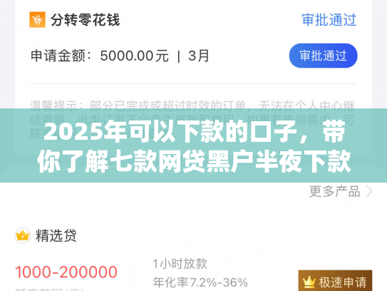 2025年可以下款的口子，带你了解七款网贷黑户半夜下款口子