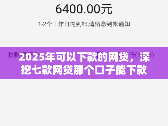 2025年可以下款的网贷，深挖七款网贷那个口子能下款