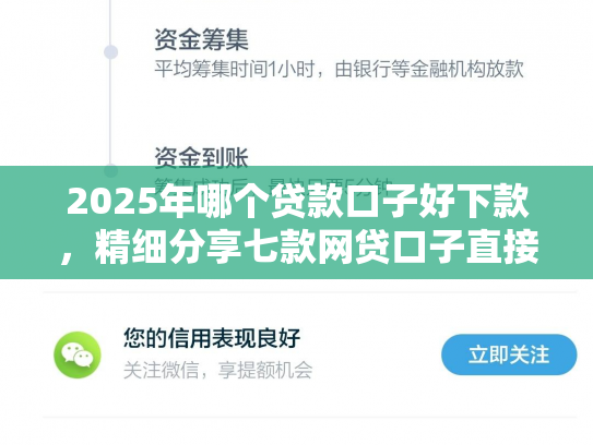 2025年哪个贷款口子好下款，精细分享七款网贷口子直接下款