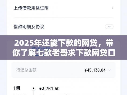 2025年还能下款的网贷，带你了解七款老哥求下款网贷口子