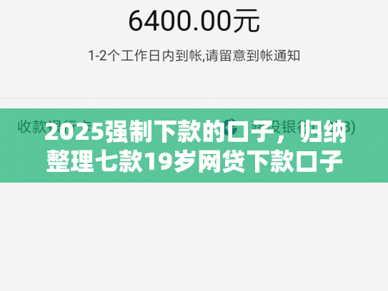 2025强制下款的口子，归纳整理七款19岁网贷下款口子