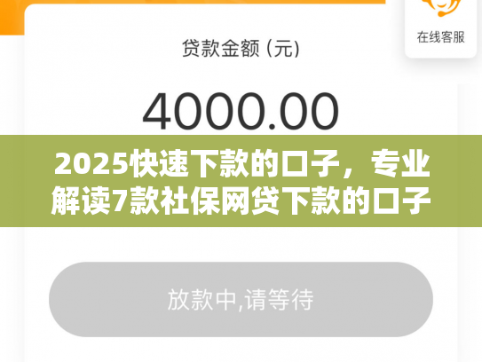 2025快速下款的口子，专业解读7款社保网贷下款的口子