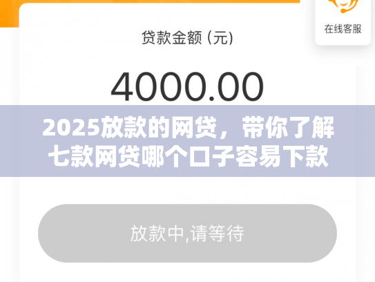 2025放款的网贷，带你了解七款网贷哪个口子容易下款