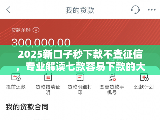 2025新口子秒下款不查征信，专业解读七款容易下款的大额网贷口子