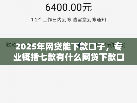 2025年网贷能下款口子，专业概括七款有什么网贷下款口子