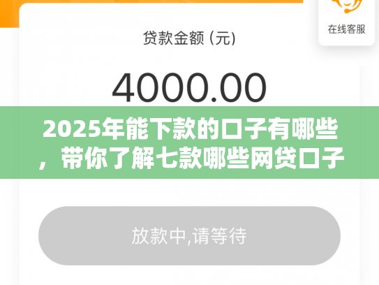 2025年能下款的口子有哪些，带你了解七款哪些网贷口子必下款