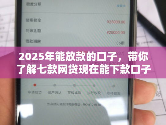 2025年能放款的口子，带你了解七款网贷现在能下款口子