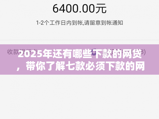 2025年还有哪些下款的网贷，带你了解七款必须下款的网贷口子