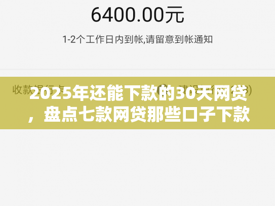 2025年还能下款的30天网贷，盘点七款网贷那些口子下款快