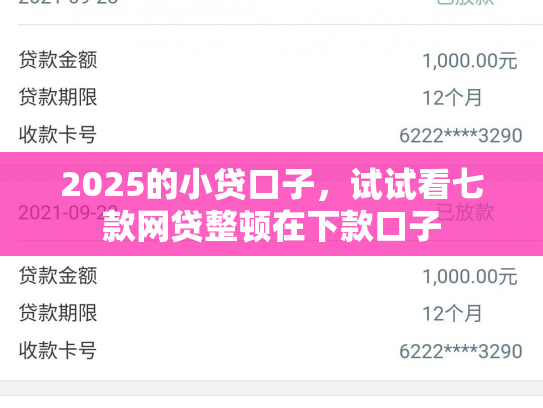 2025的小贷口子，试试看七款网贷整顿在下款口子