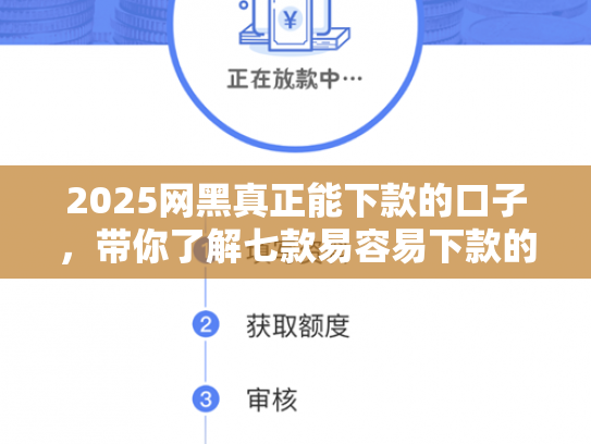 2025网黑真正能下款的口子，带你了解七款易容易下款的网贷口子