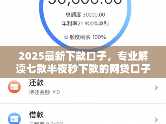 2025最新下款口子，专业解读七款半夜秒下款的网贷口子