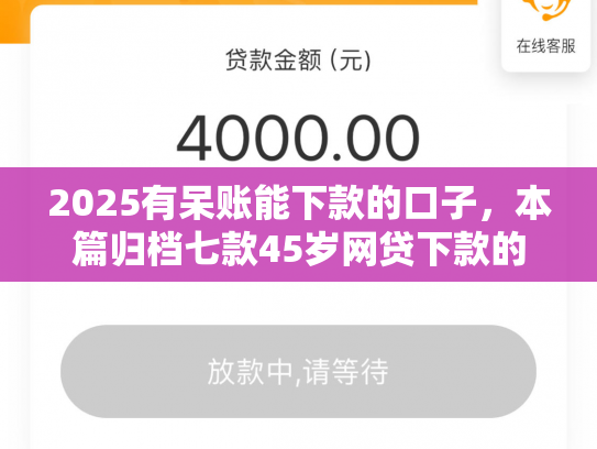 2025有呆账能下款的口子，本篇归档七款45岁网贷下款的口子