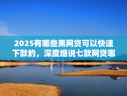 2025有哪些黑网贷可以快速下款的，深度细说七款网贷哪个口子好下款呢