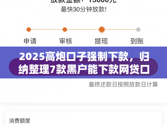 2025高炮口子强制下款，归纳整理7款黑户能下款网贷口子