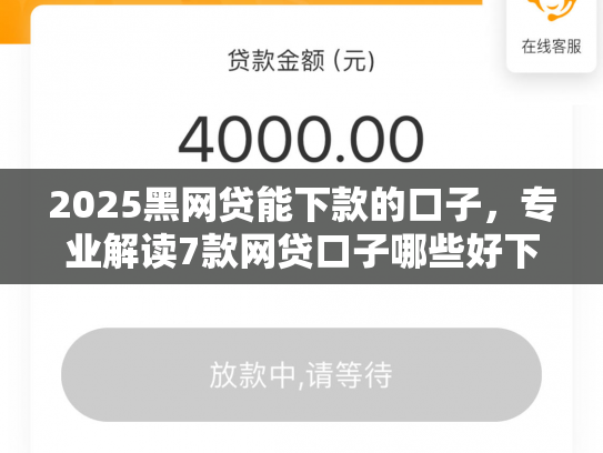 2025黑网贷能下款的口子，专业解读7款网贷口子哪些好下款