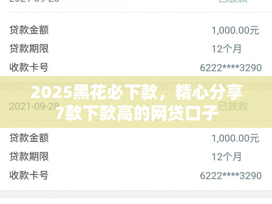 2025黑花必下款，精心分享7款下款高的网贷口子