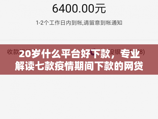 20岁什么平台好下款，专业解读七款疫情期间下款的网贷口子