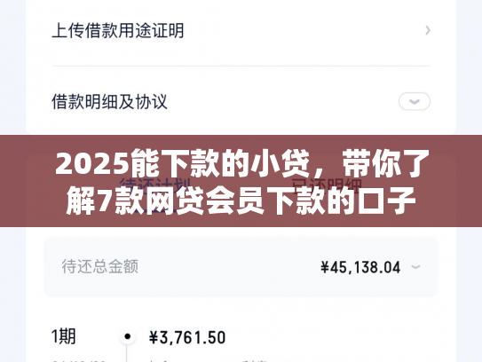 2025能下款的小贷，带你了解7款网贷会员下款的口子
