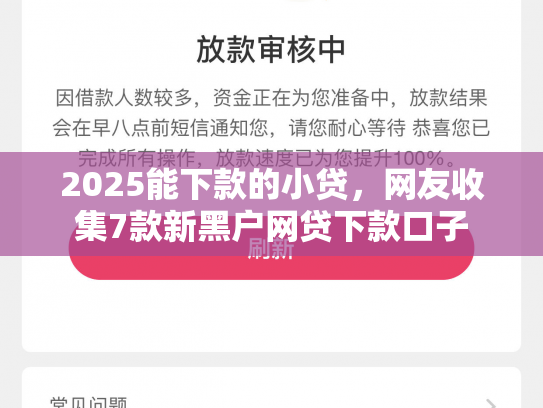 2025能下款的小贷，网友收集7款新黑户网贷下款口子