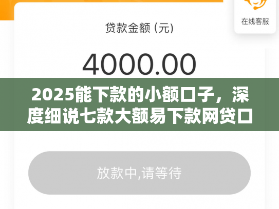 2025能下款的小额口子，深度细说七款大额易下款网贷口子