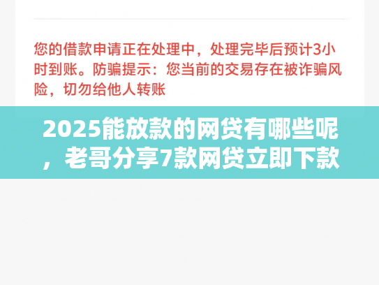 2025能放款的网贷有哪些呢，老哥分享7款网贷立即下款的口子