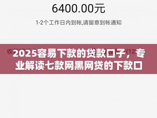 2025容易下款的贷款口子，专业解读七款网黑网贷的下款口子