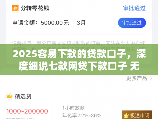 2025容易下款的贷款口子，深度细说七款网贷下款口子 无视黑白