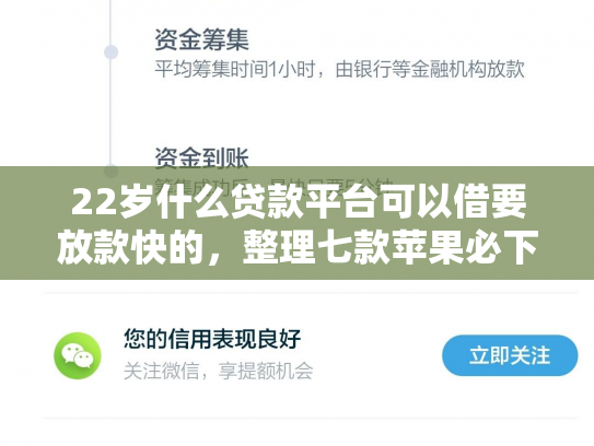 22岁什么贷款平台可以借要放款快的，整理七款苹果必下款的网贷口子