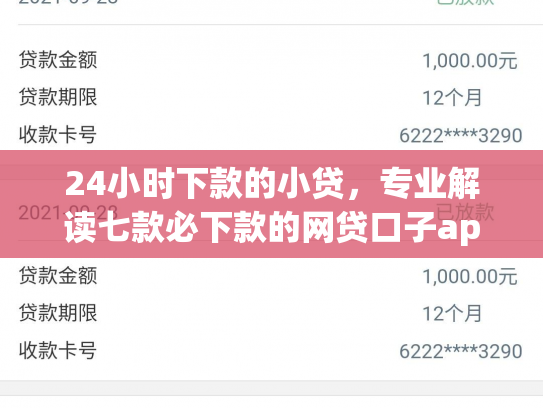 24小时下款的小贷，专业解读七款必下款的网贷口子app