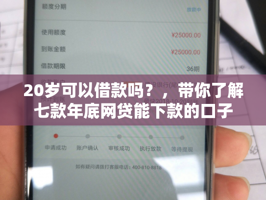 20岁可以借款吗？，带你了解七款年底网贷能下款的口子