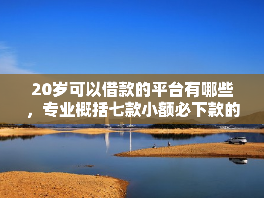 20岁可以借款的平台有哪些，专业概括七款小额必下款的网贷口子