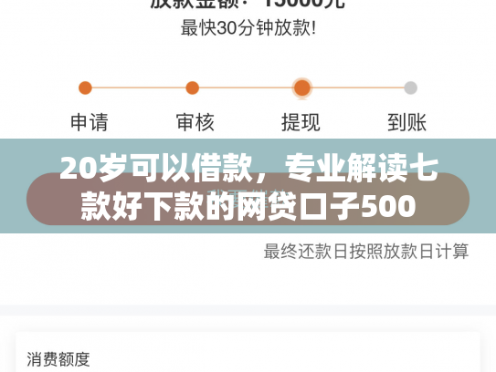 20岁可以借款，专业解读七款好下款的网贷口子500