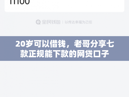 20岁可以借钱，老哥分享七款正规能下款的网贷口子