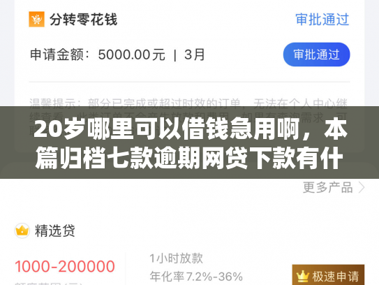 20岁哪里可以借钱急用啊，本篇归档七款逾期网贷下款有什么口子