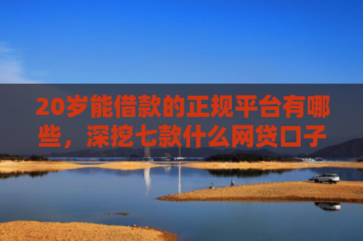 20岁能借款的正规平台有哪些，深挖七款什么网贷口子好下款的
