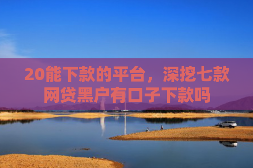 20能下款的平台，深挖七款网贷黑户有口子下款吗