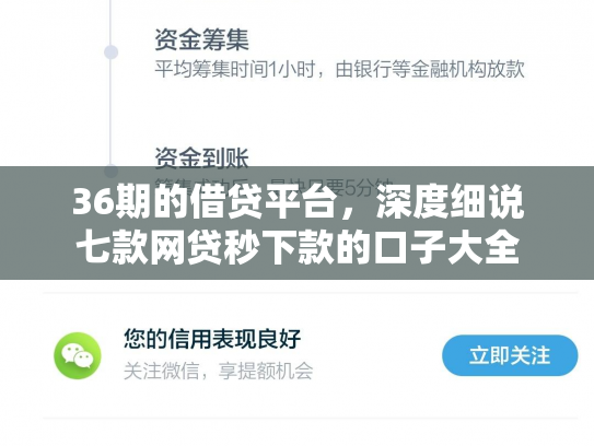 36期的借贷平台，深度细说七款网贷秒下款的口子大全